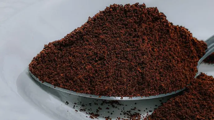 Pó de café marrom escuro empilhado em uma colher, sobre um prato branco.