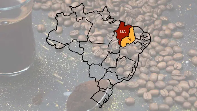 Mapa do Brasil destacando as regiões de atendimento de café Maranhão (MA) e Piauí (PI), sobreposto com grãos de café e um copo de café escuro.